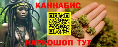 стаф Камышлов