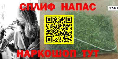 стаф Камышлов