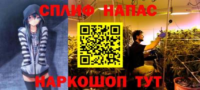 стаф Камышлов