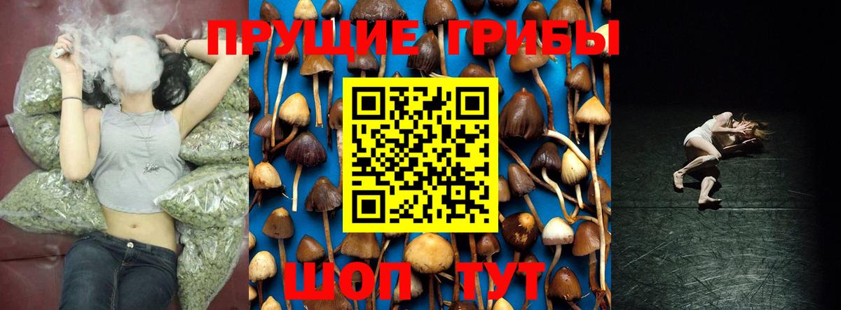 Галлюциногенные грибы мицелий Кубинка